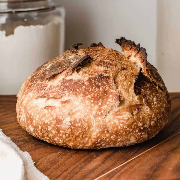 Sourdough Forest fruits